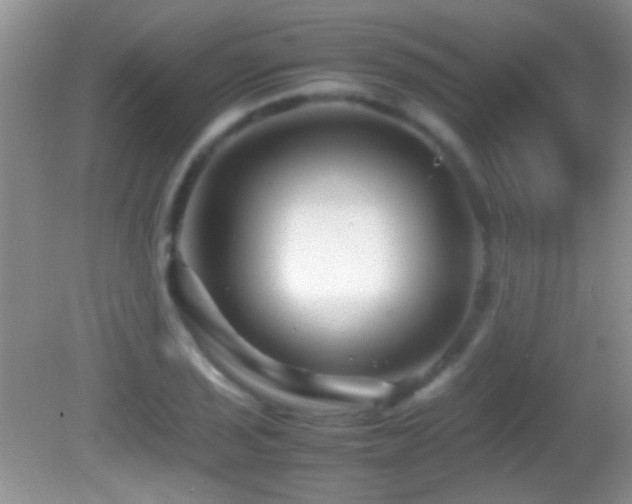X0000082721029200701261214