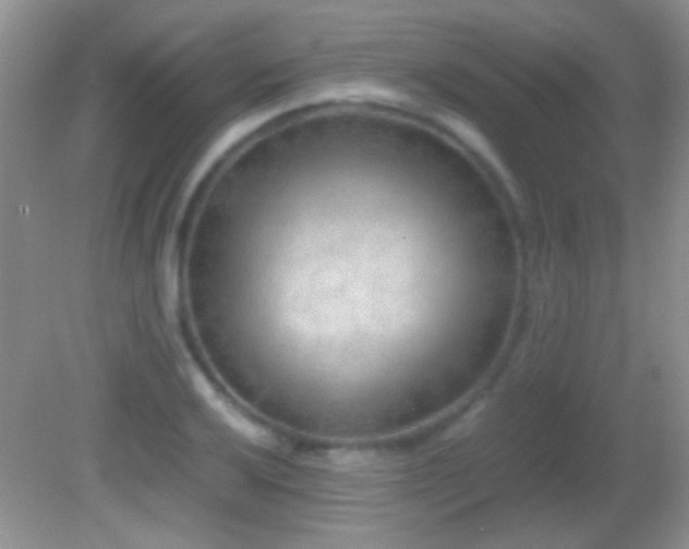 X0000082721032200701261214