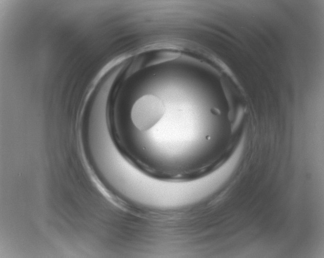 X0000082721034200701261214