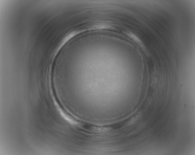 X0000082721039200701261214