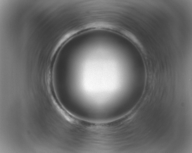 X0000082721040200701261214