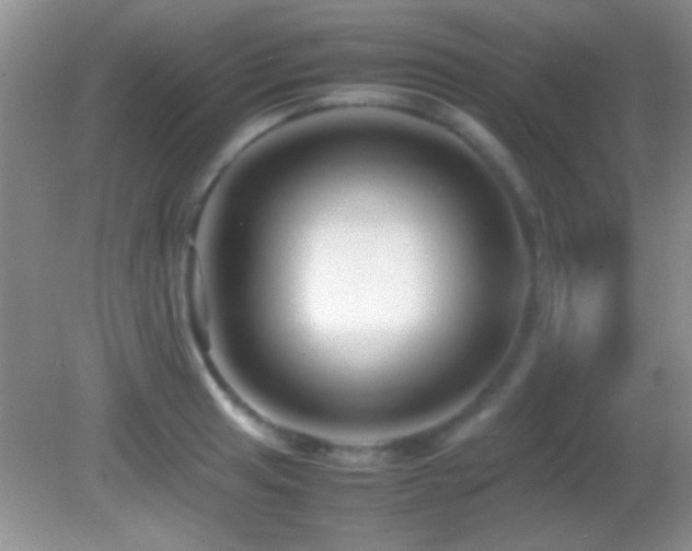 X0000082721041200701261214