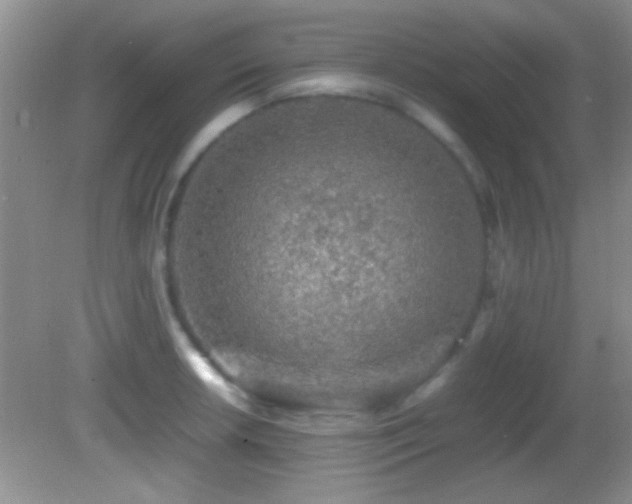 X0000082721042200701261214