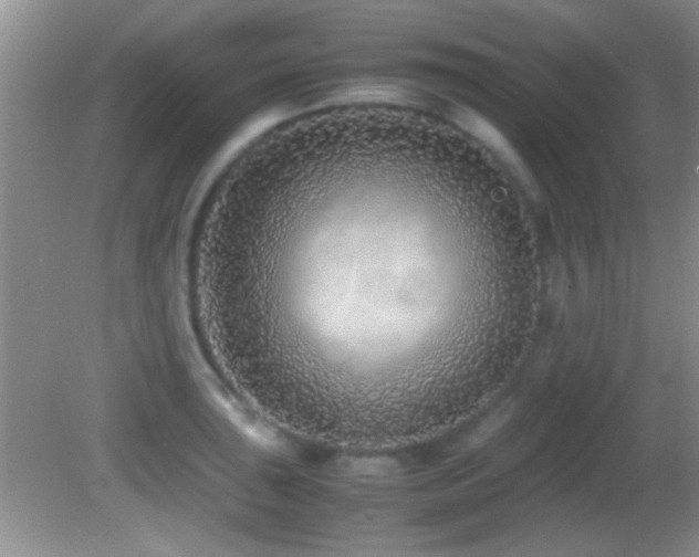 X0000082721043200701261214