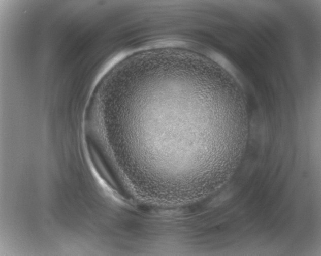 X0000082721047200701261214