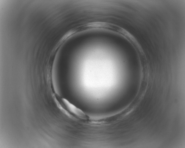 X0000082721049200701261214