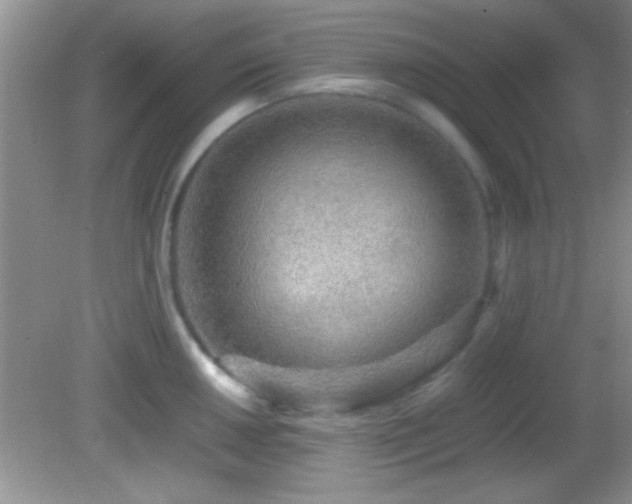 X0000082721050200701261214