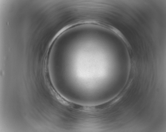 X0000082721052200701261214