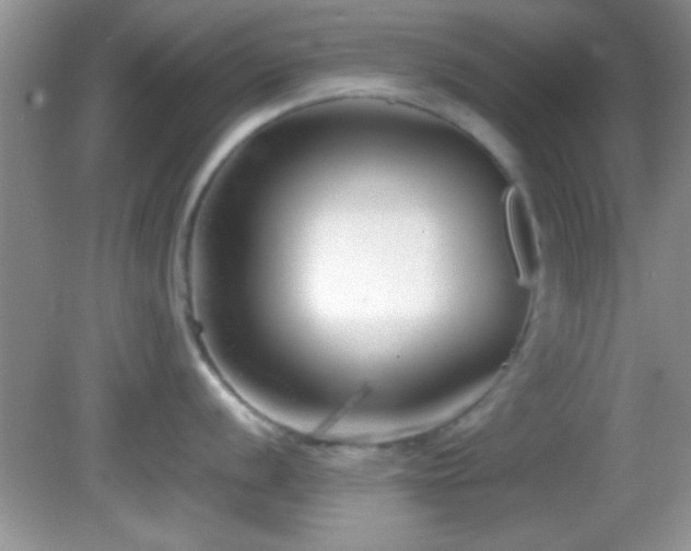 X0000082721056200701261214