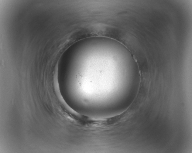 X0000082721057200701261213