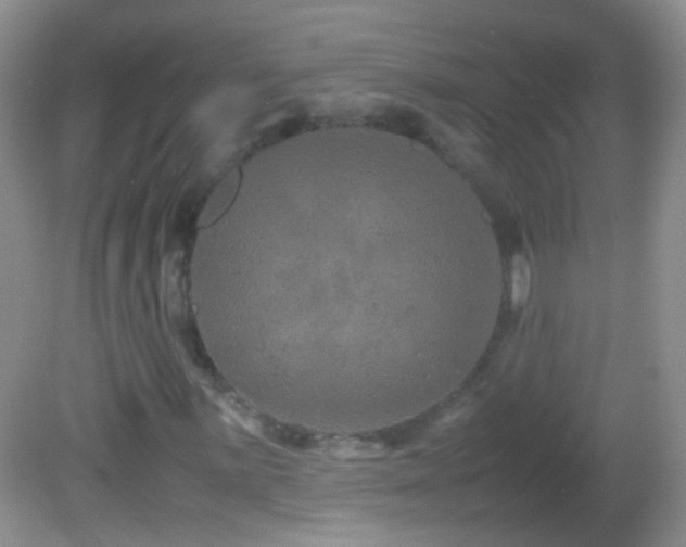 X0000082721059200701261213