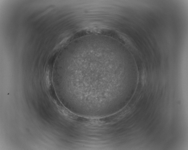 X0000082721060200701261213