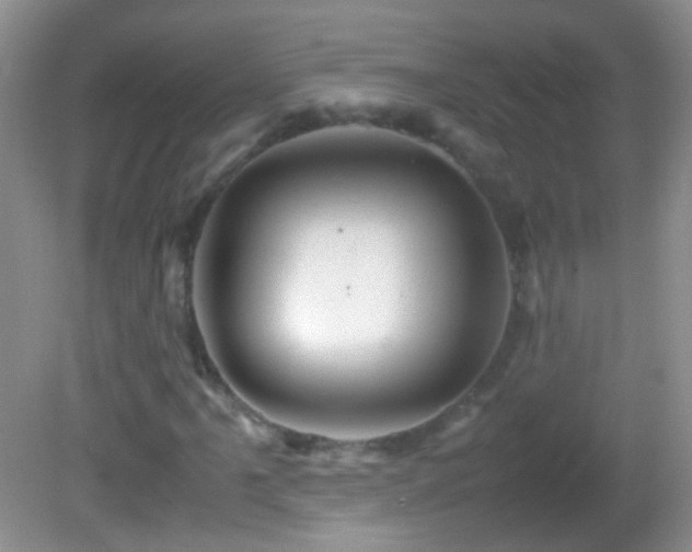 X0000082721061200701261213