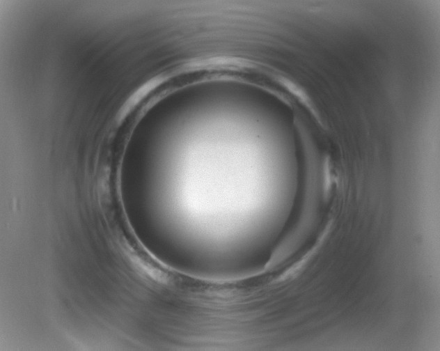 X0000082721066200701261213