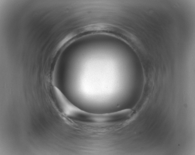X0000082721073200701261213