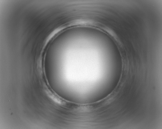 X0000082721078200701261213