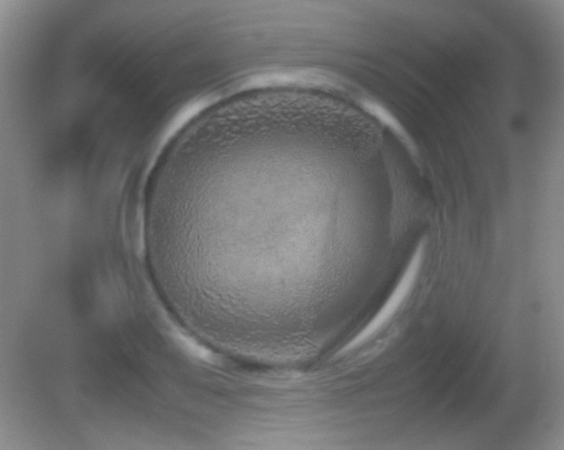 X0000082721079200701261213