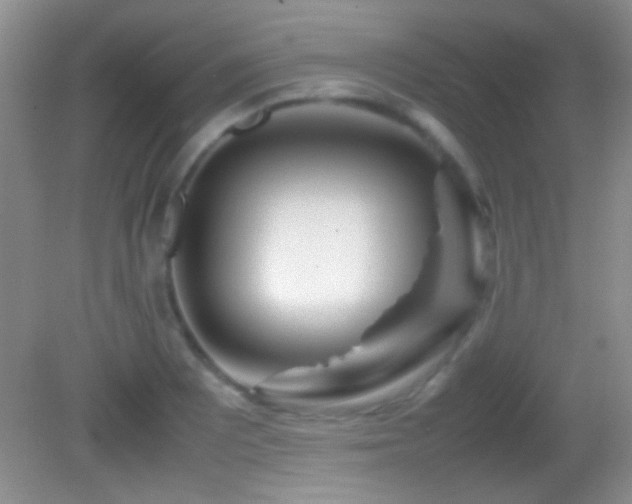 X0000082721081200701261213