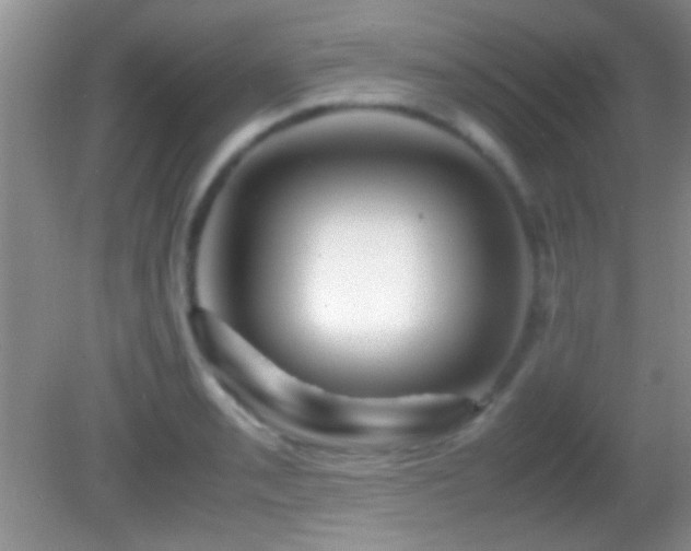X0000082721085200701261213