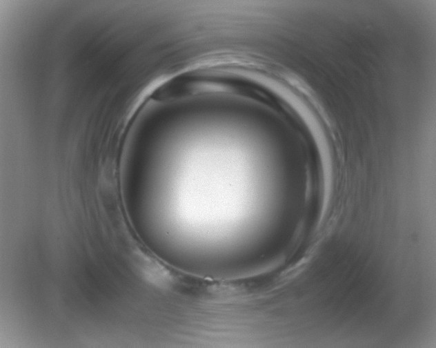 X0000082721089200701261213