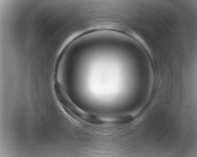 X0000082721093200701261213