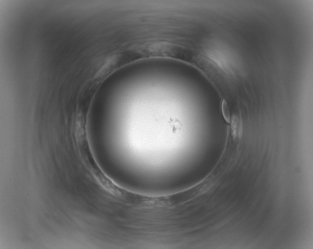 X0000082721107200701261212