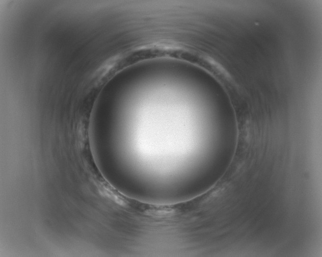 X0000082721110200701261212