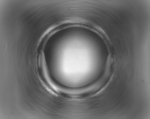 X0000082721114200701261212