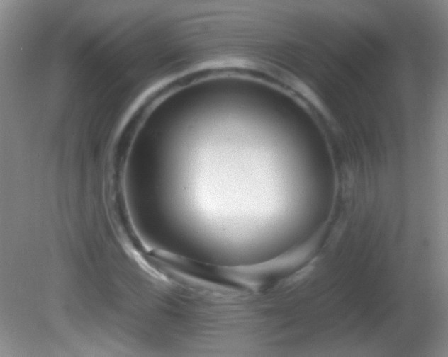 X0000082721116200701261212