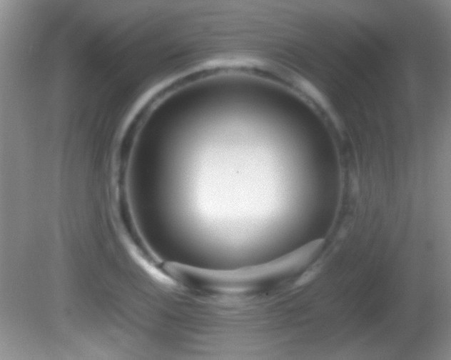 X0000082721124200701261212