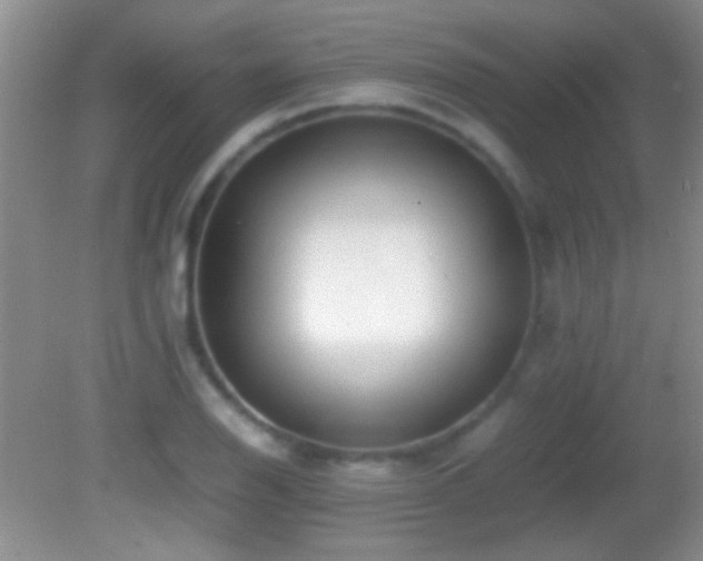 X0000082721126200701261212