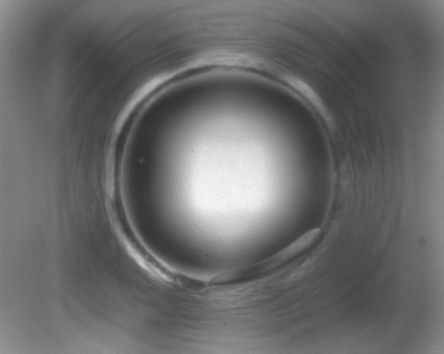 X0000082721128200701261212