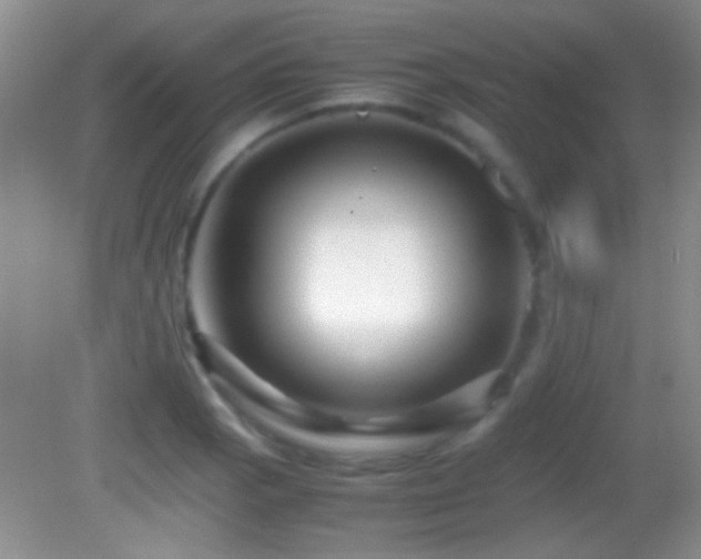 X0000082721129200701261212