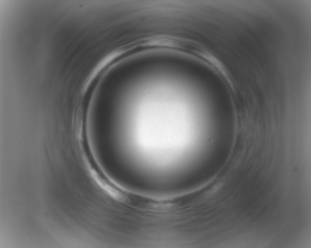 X0000082721131200701261212