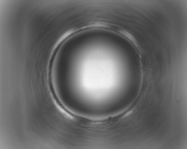 X0000082721135200701261212