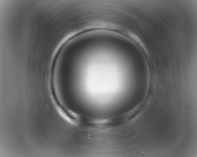 X0000082721136200701261212