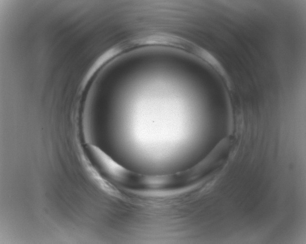 X0000082721138200701261212