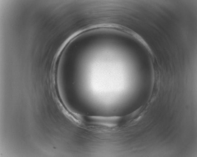 X0000082721148200701261212