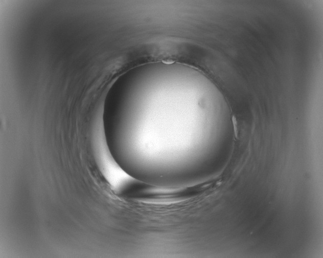 X0000082721153200701261212