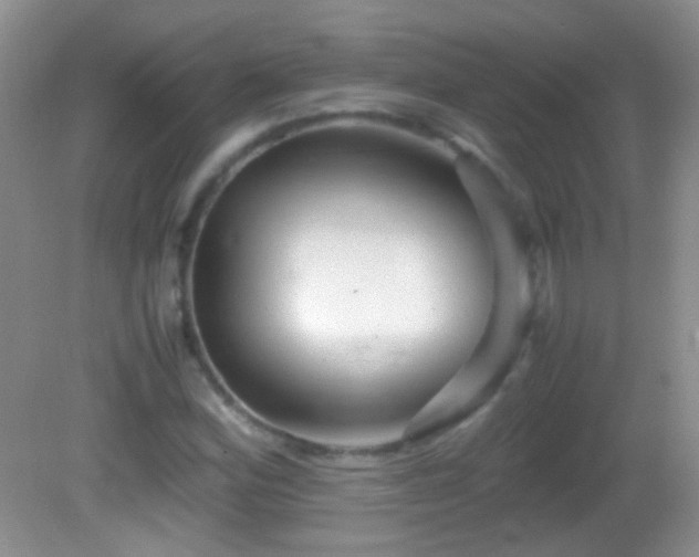 X0000082721164200701261211
