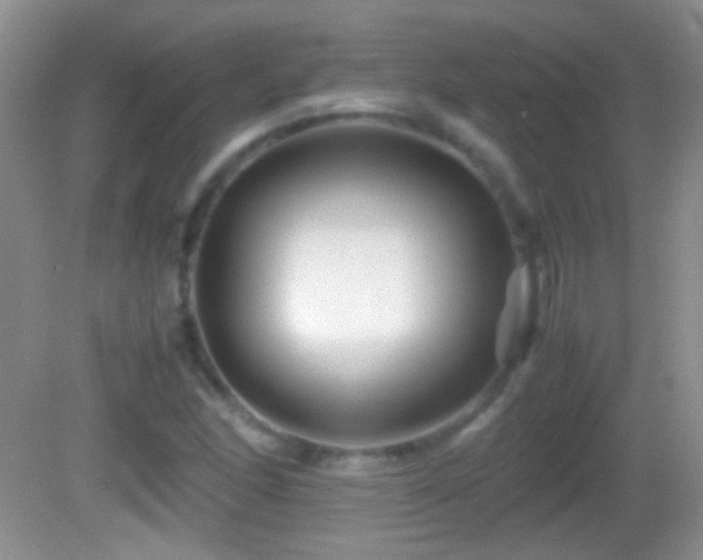 X0000082721166200701261211