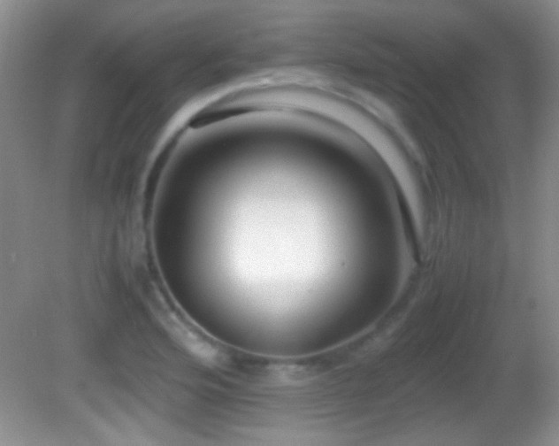 X0000082721176200701261211