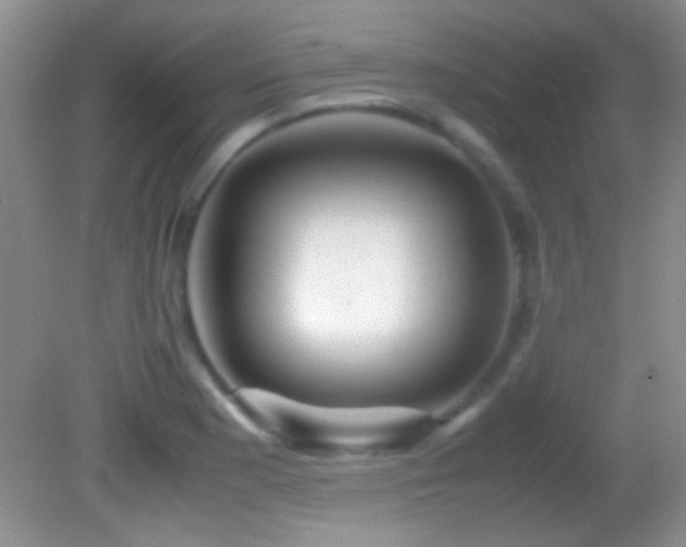 X0000082721177200701261211