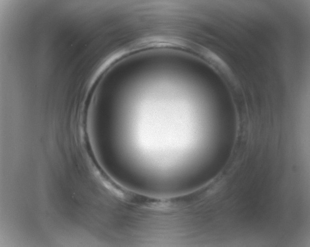 X0000082721182200701261211