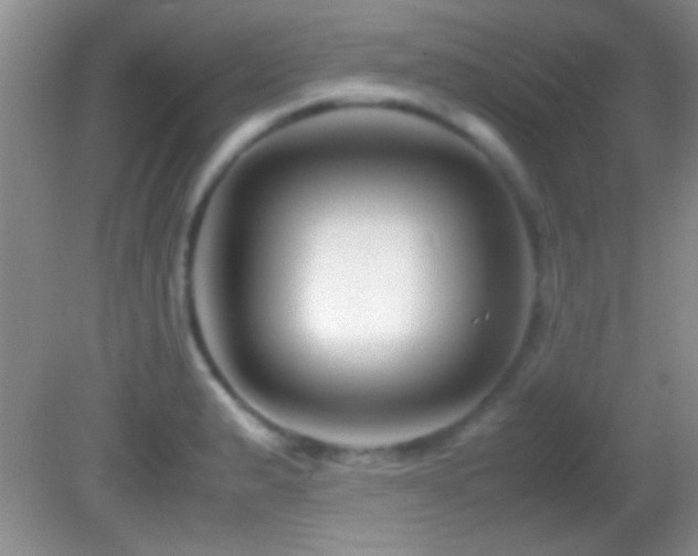 X0000082721183200701261211