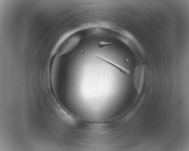 X0000082721184200701261211