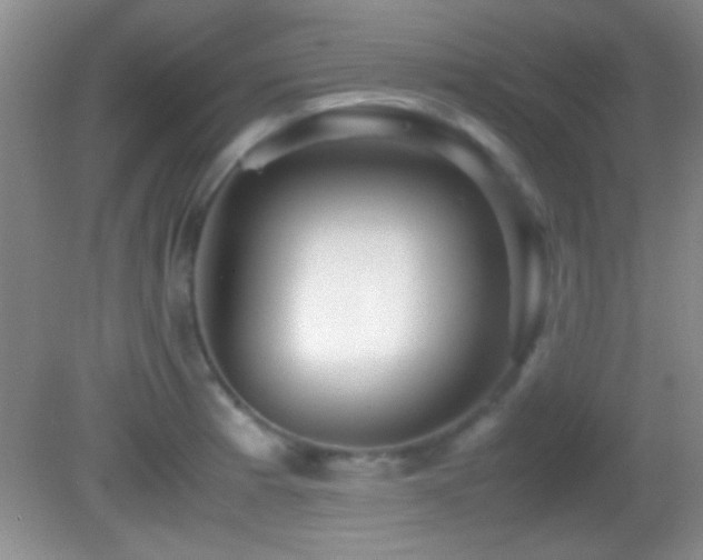 X0000082721185200701261211