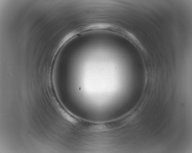 X0000082721186200701261211