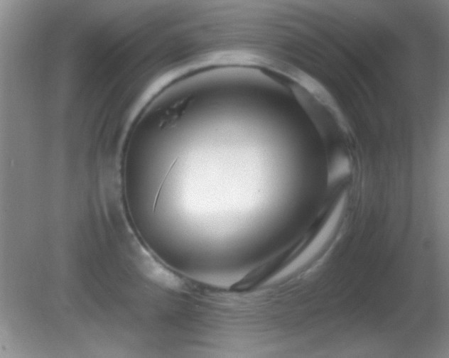 X0000082721192200701261211