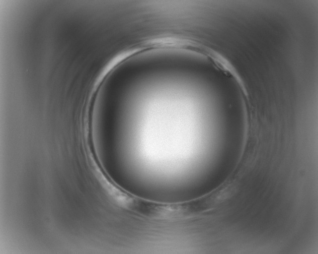 X0000082721195200701261211